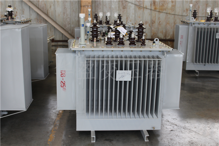 克孜勒苏S20-800kVA/10kV/0.4kV变压器